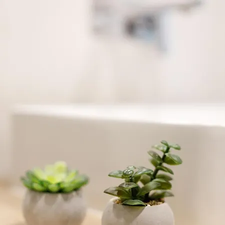 - Cozy - Stare - K17 *